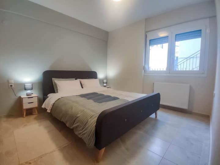 Cozy Modern Apartment Ioannina Eksteriør billede