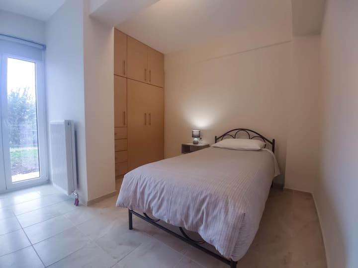 Cozy Modern Apartment Ioannina Eksteriør billede